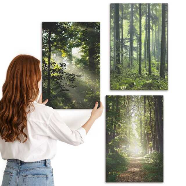 Canvas Set Of 3 - Green Forests With Rays Light & A Forest Path, Wall Art Canvas, Landscapes Decor - image 1