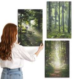 Canvas Set Of 3 - Green Forests With Rays Light & A Forest Path, Wall Art Canvas, Landscapes Decor - thumbnail 1