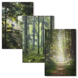 Canvas Set Of 3 - Green Forests With Rays Light & A Forest Path, Wall Art Canvas, Landscapes Decor - thumbnail 2