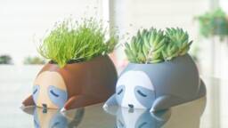 Sleepy Sloth Succulent Planter 3D Printed Desk Decor