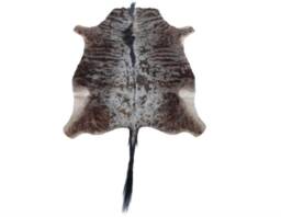 African Blue Wildebeest Hide South Africa, Rustic Safari Decor - 6' X 5.5' - thumbnail 1