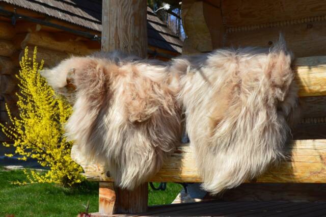 Gorgeous Genuine Icelandic Dyed Sheepskin Lambskin Sheep Skin Rug Pelt, Schaffell, Hygge - image 1