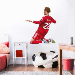 Liverpool Fc Wall Sticker - Ekitike 25/26 Illustration Decal - thumbnail 1