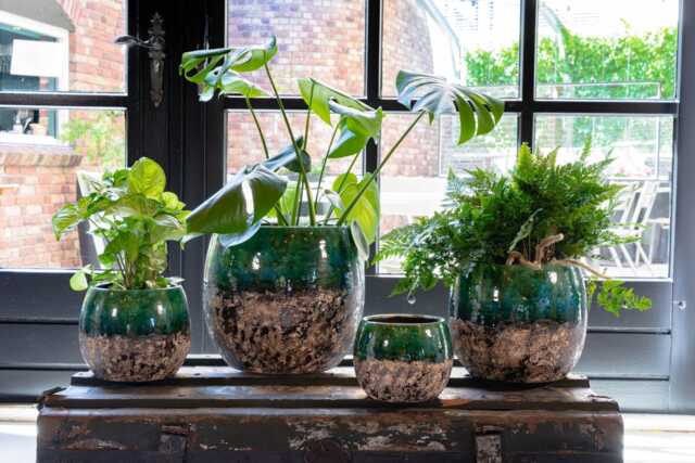 Handmade Emerald Green & Black Ceramic Plant Pot Lindy Retro Indoor Planter, Multiple Sizes - 16cm-30cm - image 1