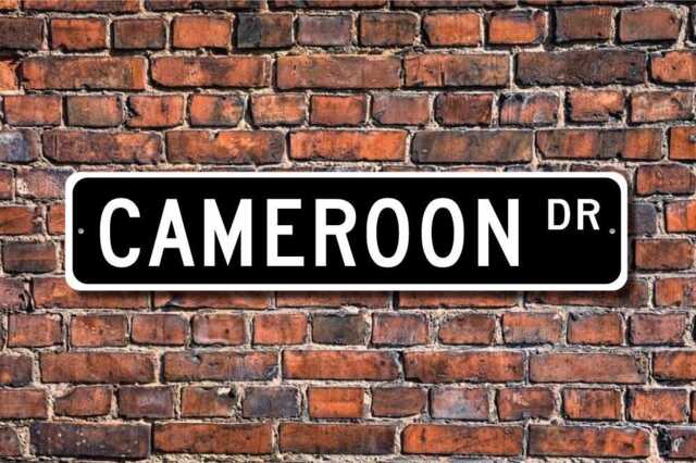 Cameroon Sign, Gift, Keepsake, Wall Decor, Souvenir, Custom Street Quality Metal Sign - image 1