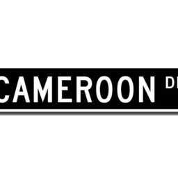 Cameroon Sign, Gift, Keepsake, Wall Decor, Souvenir, Custom Street Quality Metal Sign - thumbnail 2
