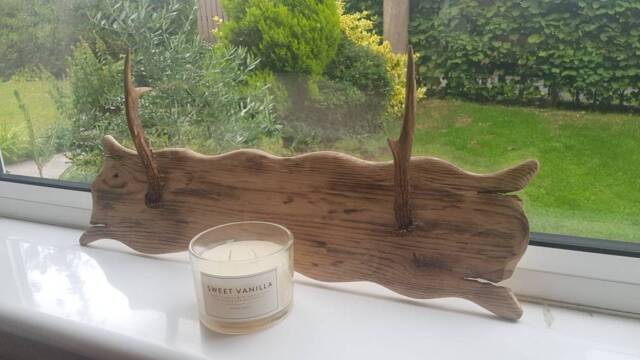 Solid Oak & Real Antler 2 Hook Hat Rack Handmade - image 1