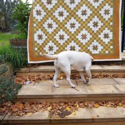 Queen Or Double Quilt/Bedspread - thumbnail 3