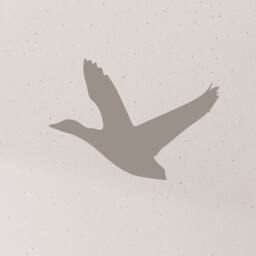 Flying Geese - Country Living Inspired Home Decor Art Removable Vinyl Wall Decal Stickers - thumbnail 2