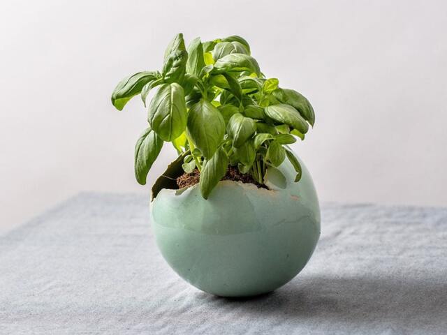 Medium Mint Green Ceramic Planter For Cacti With Drainage Hole & Saucer - Elegant Centerpiece Round Vase For Plants - image 1