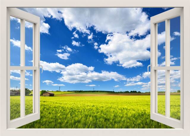 Field Wall Decal, Grass 3D Window Nature Sticker, Yellow Mural, View Frame Decal