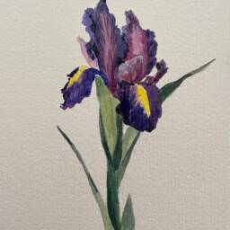 One Original Watercolor Of Flower Lily 14.8 X 10.5 cm - thumbnail 2