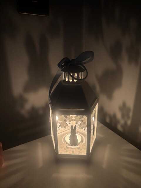 Peter Rabbit Inspired Shadow Lantern - image 1