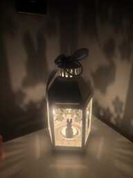 Peter Rabbit Inspired Shadow Lantern - thumbnail 1