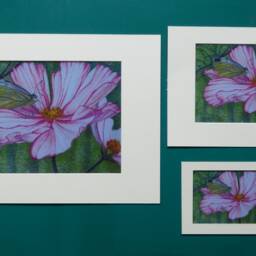Original Art Print, Butterfly Painting, Flower Wall Art, Nature Prints, Pink Flower, Artwork, Unframed Petal, Pastels - thumbnail 3
