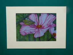 Original Art Print, Butterfly Painting, Flower Wall Art, Nature Prints, Pink Flower, Artwork, Unframed Petal, Pastels - thumbnail 1