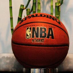 Ultra Premium Polished Signed Basketball Display Stand - Show Off Your Autographed/Game Used Ball - thumbnail 4