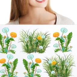 Grass Wall Decals Dandelions Sectioned, Spring Decal, For Tile, Walls, Furniture, Hand-Painted Decals, Home D??cor - thumbnail 3
