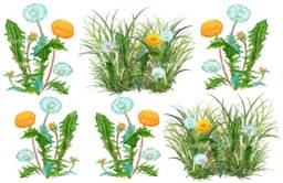 Grass Wall Decals Dandelions Sectioned, Spring Decal, For Tile, Walls, Furniture, Hand-Painted Decals, Home D??cor - thumbnail 1