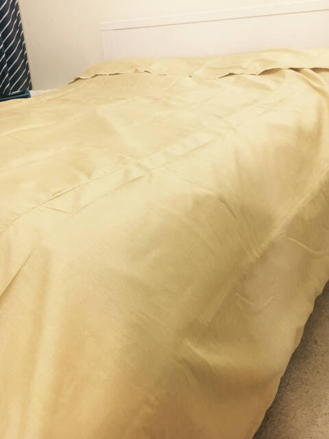 Dupioni Silk King Size Duvet Cover With Two Pillow Covers - image 1