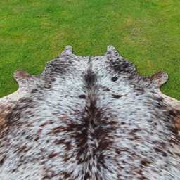 Large Brindle Cowhide Rugs - Brazillian For Bedroom Ready To Ship Free Shiping Uk/Usa/Canada Tricolor Speckled Cow Skin - thumbnail 4