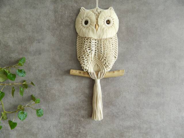 Macrame Wall Hanging, Small Owl Tapestry, Apartment Decor, Folk Art - image 1