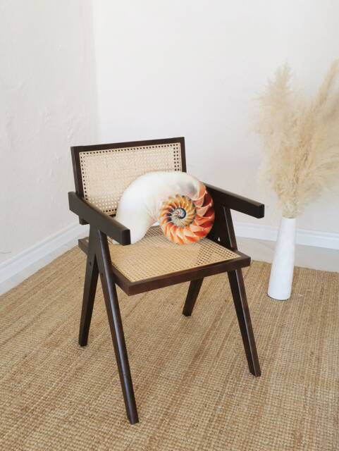 Sea Shell Velvet Cushion Baby Girl Nursery Decor, Beige Pillow - 19.6 - image 1
