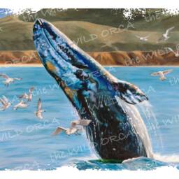Gray Whale Breach - Limited Edition Art Print - thumbnail 4