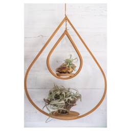 Large Indoor Wooden Tear Drop Hanger, Air Plant Holder, Planter With Saucer, Minimalist Mid Century Modern - thumbnail 3