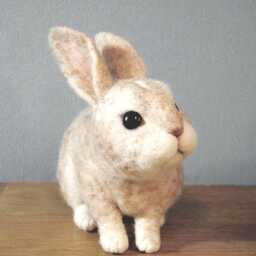 Custom Made Bunny, Needle Felted Lifelike Rabbit Mini Lop Bunny Or Any Other Breed - thumbnail 3