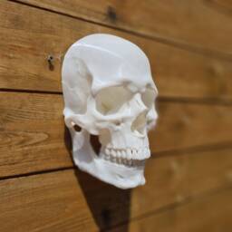 Skull Wall Mount - Gothic Home Decor Custom 3D Printed - thumbnail 3