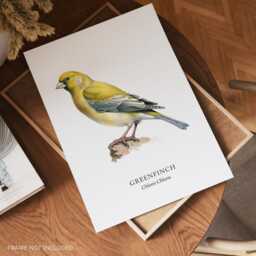 Greenfinch Bird Print, Wall Posters, Home Decor Prints, Lover Gift - thumbnail 3