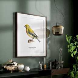 Greenfinch Bird Print, Wall Posters, Home Decor Prints, Lover Gift - thumbnail 2