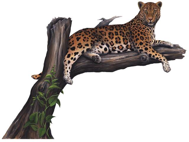 Leopard Wall Decal Sticker - 58 X 45 In