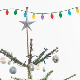 Charlie Brown Lights Christmas Decor -Wall Decal Custom Vinyl Art Stickers - thumbnail 1