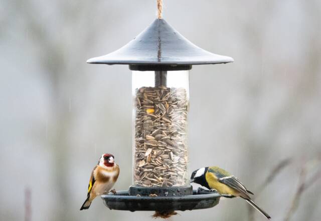 Decorative Bird Feeder - Black - image 1