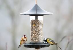 Decorative Bird Feeder - Black