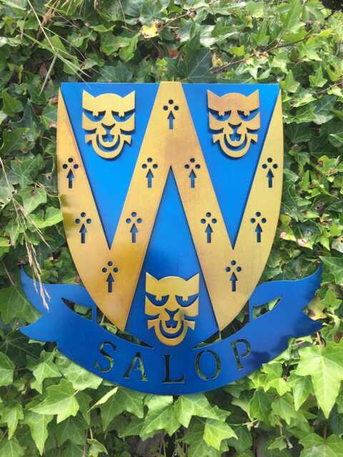 Shropshire Shield 3D Metal Wall Art Garden Plaque - 40cm - image 1