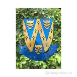 Shropshire Shield 3D Metal Wall Art Garden Plaque - 40cm - thumbnail 4