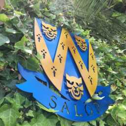 Shropshire Shield 3D Metal Wall Art Garden Plaque - 40cm - thumbnail 2