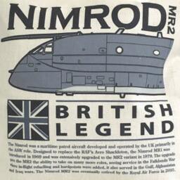 Hawker Siddeley Nimrod Raf Maritime Patrol Aircraft Cushion Inner Included - thumbnail 2