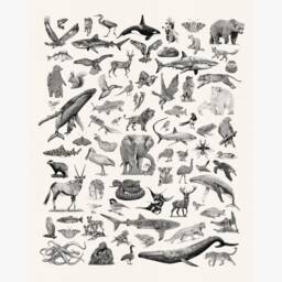 Wild Animal Print - Wildlife Artwork Poster Nature Wall Art Gift - thumbnail 2
