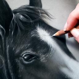 Custom Hand Painted Charcoal Horse Drawing, Lover, Pet Painting, From Your Photo, Realistic Drawn, Memorial Art, Personalized - thumbnail 2