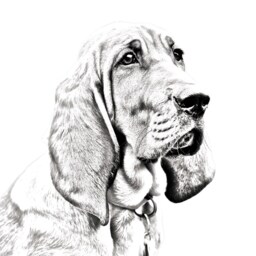 Redbone Coonhound - Wooden Stand For Candles/Pens With The Image Of A Dog New Collection - thumbnail 2