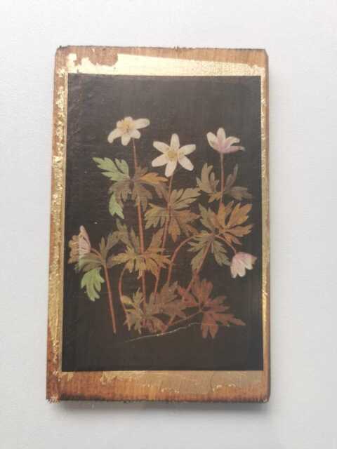 Anemone Nemorosa Wood Wall Art Mary Delany Floral Collage - image 1