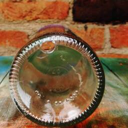 Absolut Vodka Succulent Planter - Upcycled Daimond Cut Glass Pot - thumbnail 2