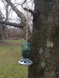 Hanging Mason Jar Bird Feeder - thumbnail 1