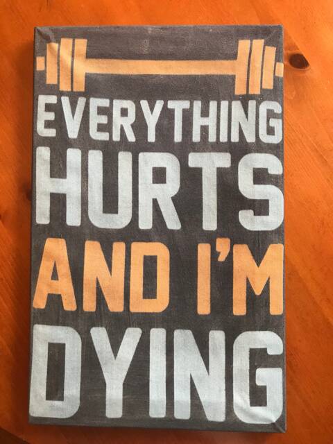 "Workout Room Upcycled T Shirt Wall Decor ""Everything Hurts & I'm Dying" - image 1