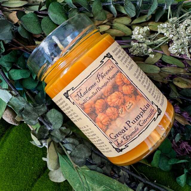 Pumpkin Prosperity Harvest Candle - image 1