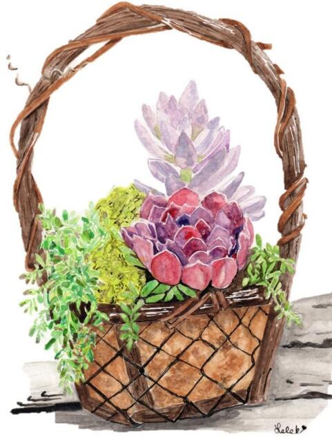 Succulent Basket Art Print